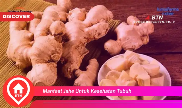 manfaat jahe untuk kesehatan tubuh