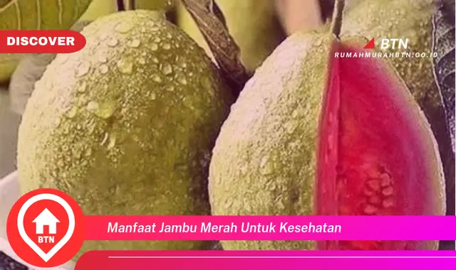 manfaat jambu merah untuk kesehatan