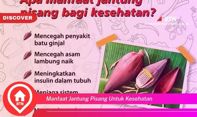 manfaat jantung pisang untuk kesehatan