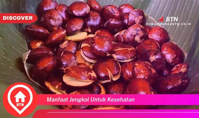 manfaat jengkol untuk kesehatan