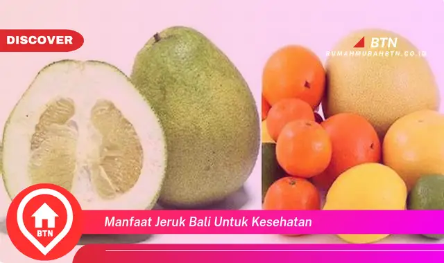 manfaat jeruk bali untuk kesehatan