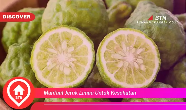 manfaat jeruk limau untuk kesehatan