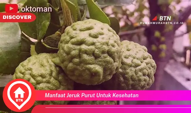 manfaat jeruk purut untuk kesehatan