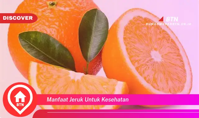 manfaat jeruk untuk kesehatan