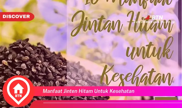 manfaat jinten hitam untuk kesehatan