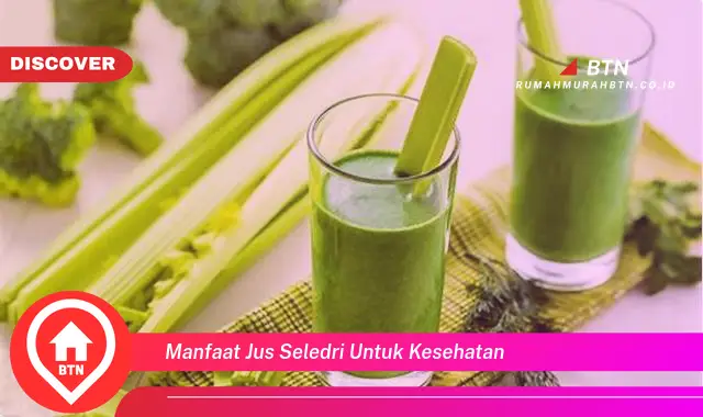 manfaat jus seledri untuk kesehatan