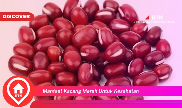 manfaat kacang merah untuk kesehatan