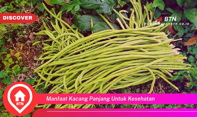 manfaat kacang panjang untuk kesehatan