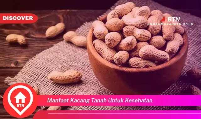 manfaat kacang tanah untuk kesehatan