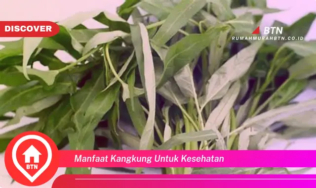 manfaat kangkung untuk kesehatan