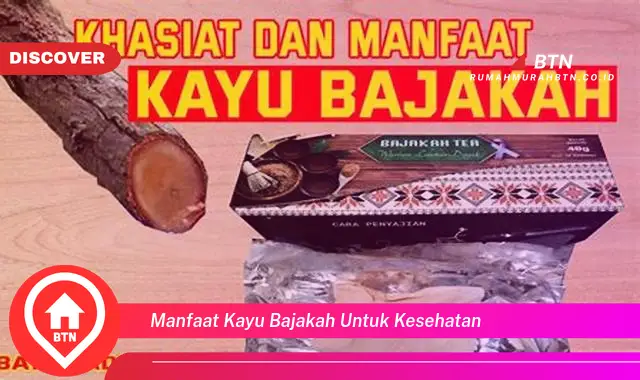 manfaat kayu bajakah untuk kesehatan