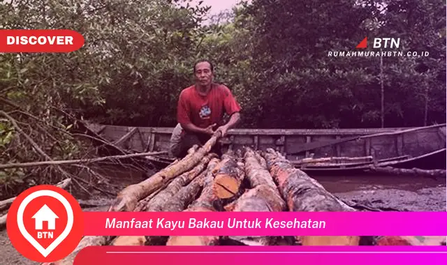 manfaat kayu bakau untuk kesehatan