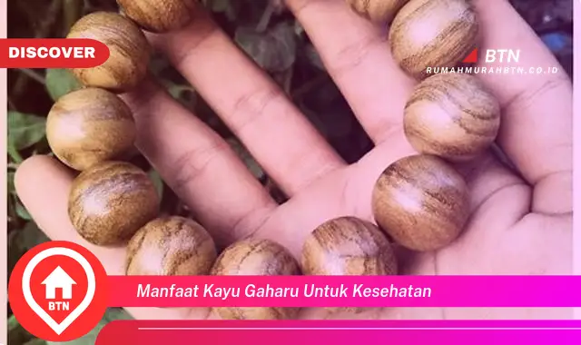 manfaat kayu gaharu untuk kesehatan