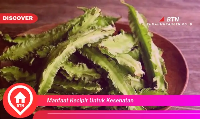 manfaat kecipir untuk kesehatan