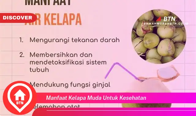 manfaat kelapa muda untuk kesehatan