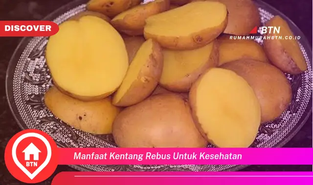 manfaat kentang rebus untuk kesehatan