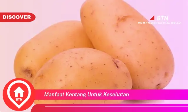 manfaat kentang untuk kesehatan