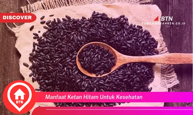 manfaat ketan hitam untuk kesehatan