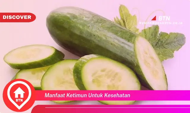 manfaat ketimun untuk kesehatan