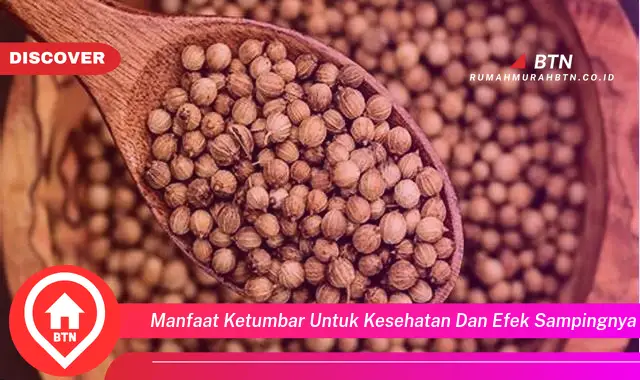 manfaat ketumbar untuk kesehatan dan efek sampingnya