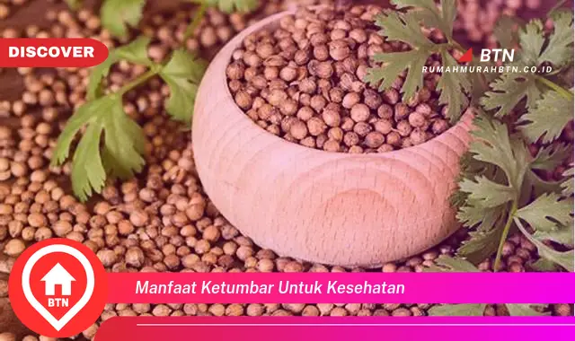 manfaat ketumbar untuk kesehatan