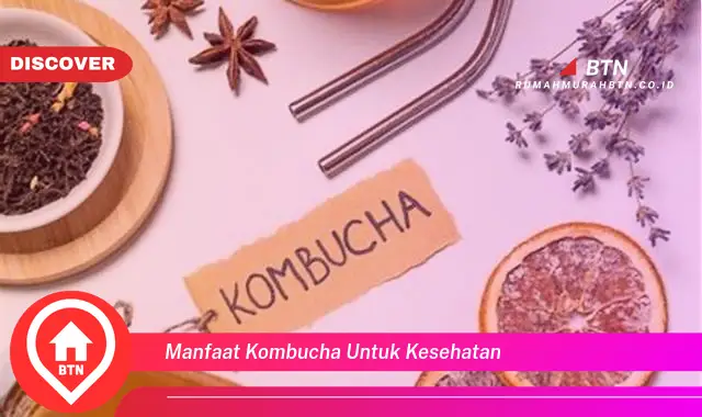 manfaat kombucha untuk kesehatan