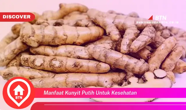 manfaat kunyit putih untuk kesehatan