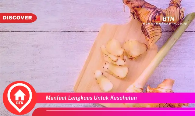 manfaat lengkuas untuk kesehatan