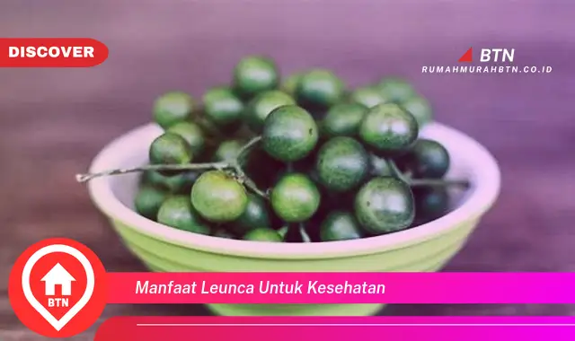 manfaat leunca untuk kesehatan