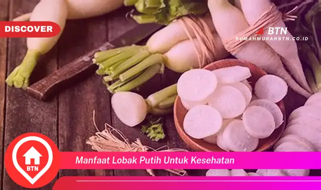 manfaat lobak putih untuk kesehatan