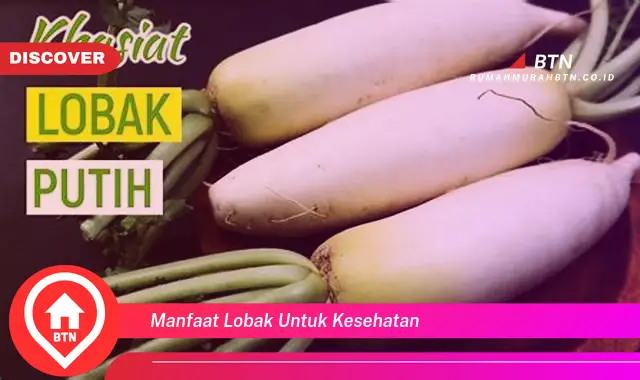 manfaat lobak untuk kesehatan