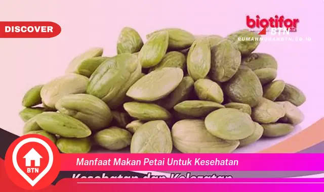 manfaat makan petai untuk kesehatan