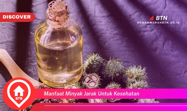 manfaat minyak jarak untuk kesehatan