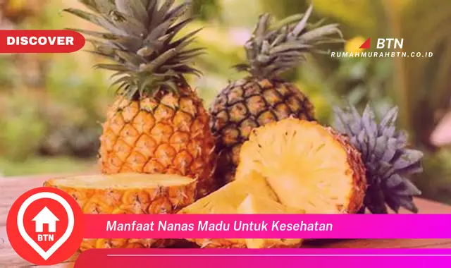 manfaat nanas madu untuk kesehatan