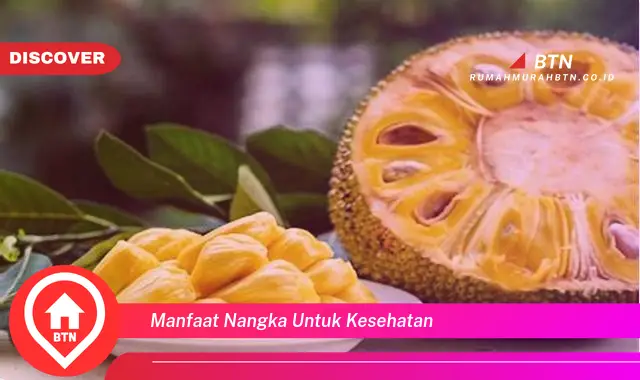 manfaat nangka untuk kesehatan