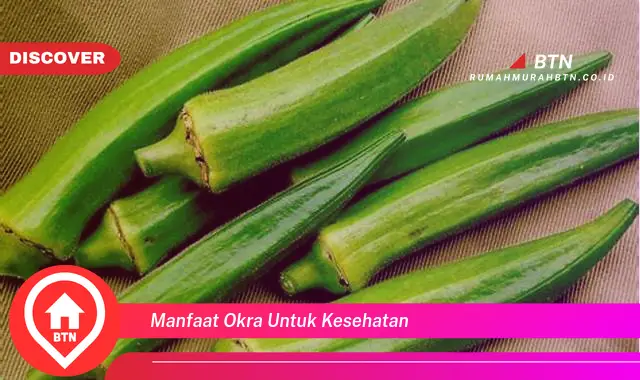 manfaat okra untuk kesehatan