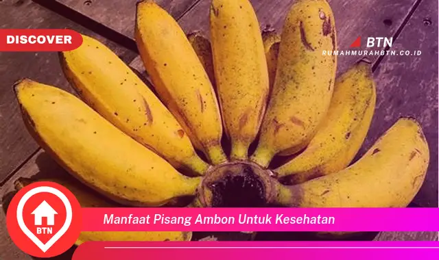 manfaat pisang ambon untuk kesehatan