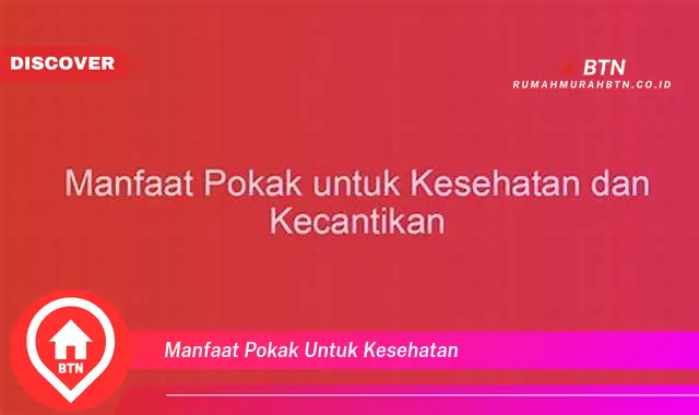 manfaat pokak untuk kesehatan