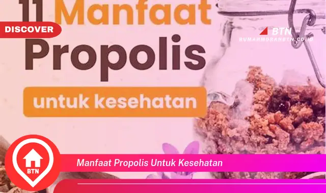 manfaat propolis untuk kesehatan