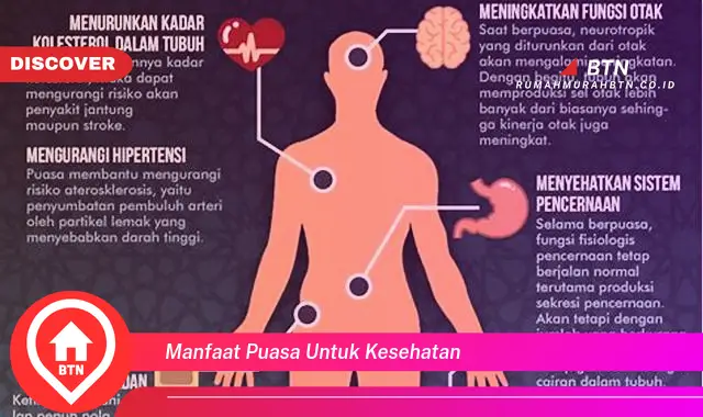 manfaat puasa untuk kesehatan