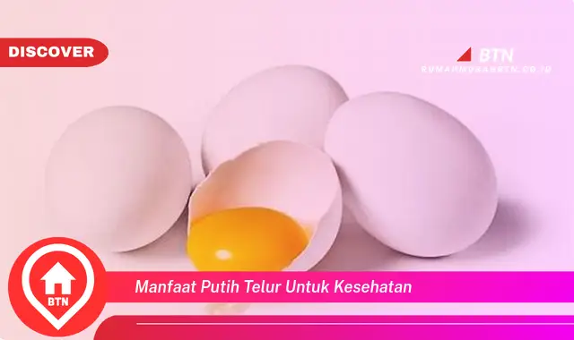 manfaat putih telur untuk kesehatan