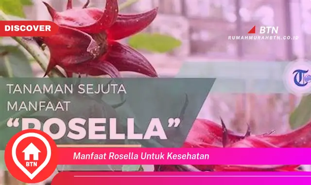 manfaat rosella untuk kesehatan