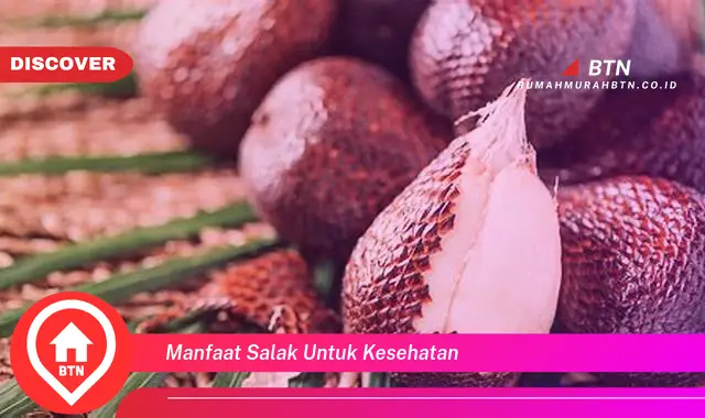 manfaat salak untuk kesehatan