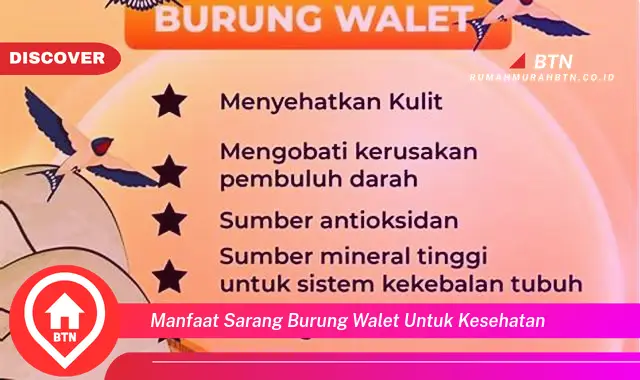 manfaat sarang burung walet untuk kesehatan