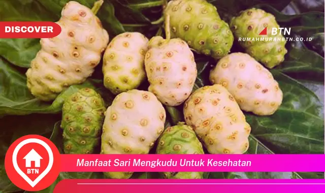 manfaat sari mengkudu untuk kesehatan