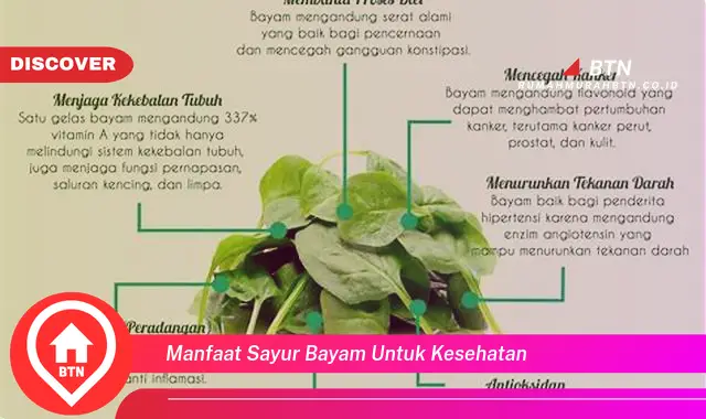 manfaat sayur bayam untuk kesehatan