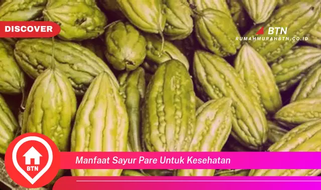 manfaat sayur pare untuk kesehatan