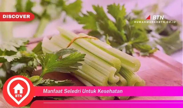 manfaat seledri untuk kesehatan