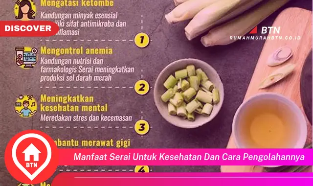 manfaat serai untuk kesehatan dan cara pengolahannya