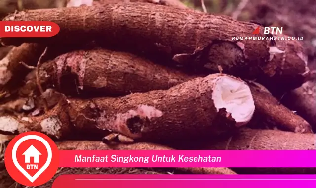 manfaat singkong untuk kesehatan